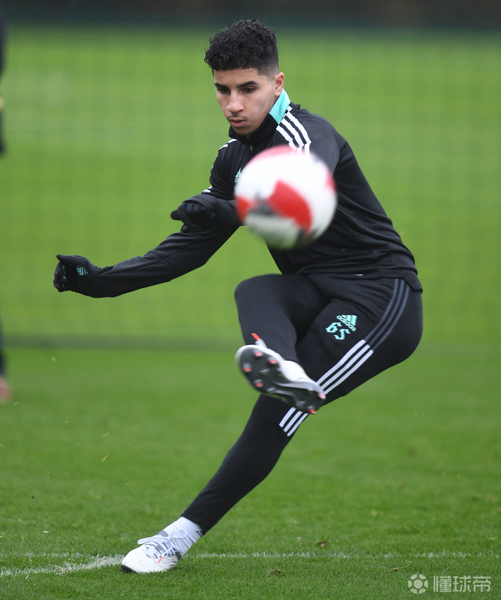 JIUYOU-关于转会期多伦多猛龙备战足总杯，外线爆发细节曝光，震撼外界，高层口径保持一致的信息